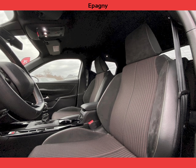 DS DS  3 Crossback  PureTech 100ch Performance Line