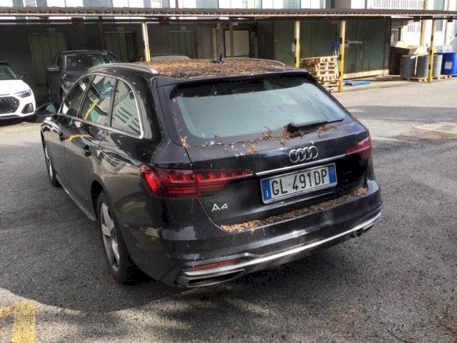 Audi Audi A4 V (B9) 40 TDI 204ch Design S tronic 7