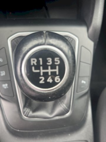 FORD Focus FOCUS TDCI 120 CV TREND BUSINESS