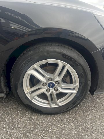 FORD Focus FOCUS TDCI 120 CV TREND BUSINESS