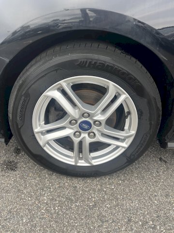 FORD Focus FOCUS TDCI 120 CV TREND BUSINESS
