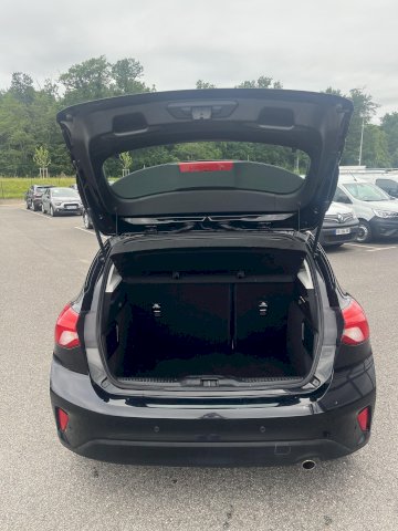 FORD Focus FOCUS TDCI 120 CV TREND BUSINESS