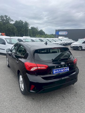 FORD Focus FOCUS TDCI 120 CV TREND BUSINESS