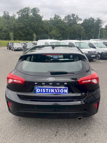 FORD Focus FOCUS TDCI 120 CV TREND BUSINESS