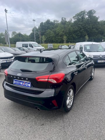 FORD Focus FOCUS TDCI 120 CV TREND BUSINESS