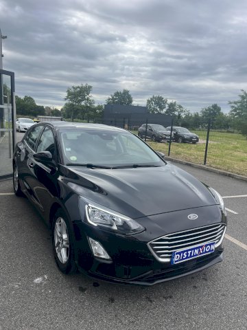 FORD Focus FOCUS TDCI 120 CV TREND BUSINESS