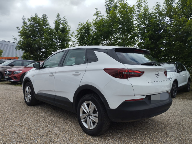 Opel Opel Grandland 1.5 D BVA8 130 CV
