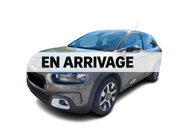 Citroen Citroën C4 Cactus BlueHDi 120ch S&S Shine EAT6 E6.d-TEMP