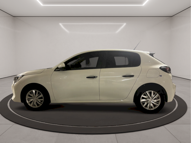 Peugeot Peugeot 208  1.5 BlueHDi 100ch E6.c Active Business S&S 5p