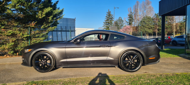 Ford Ford Mustang Fastback VI 2.3 EcoBoost 317ch