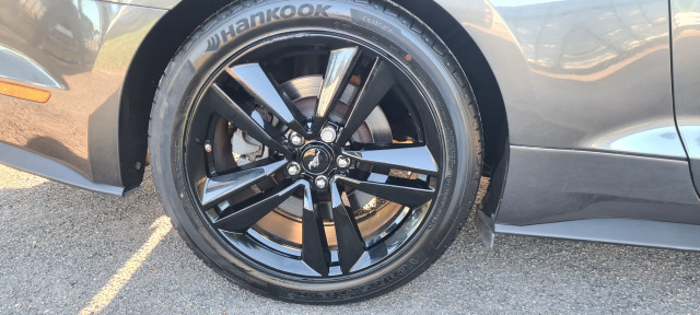 Ford Ford Mustang Fastback VI 2.3 EcoBoost 317ch