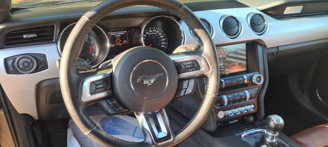 Ford Ford Mustang Fastback VI 2.3 EcoBoost 317ch