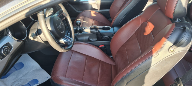 Ford Ford Mustang Fastback VI 2.3 EcoBoost 317ch