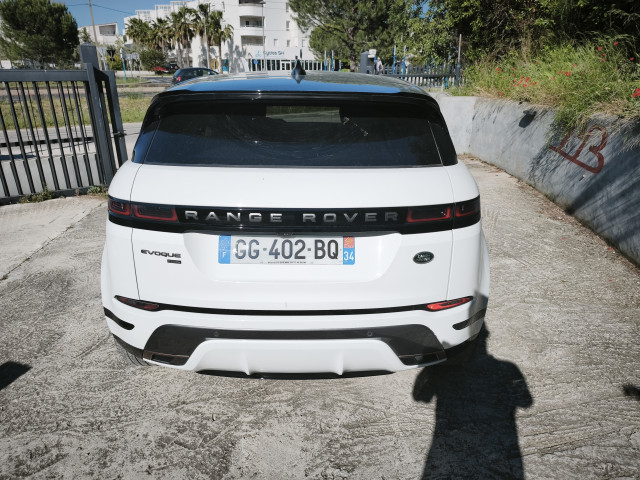 Land-Rover Land-Rover Evoque P300e 309ch R-Dynamic HSE AWD 