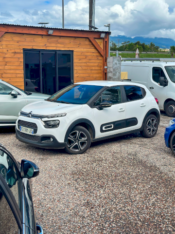 Citroen Citroën C3 Diesel 1.5 BlueHDi 100 (SXYHYP, SXYHTU) 102 CV