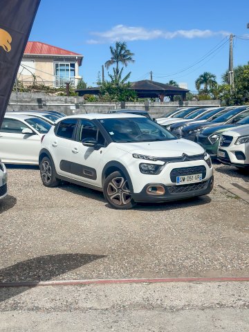 Citroen Citroën C3 Diesel 1.5 BlueHDi 100 (SXYHYP, SXYHTU) 102 CV 