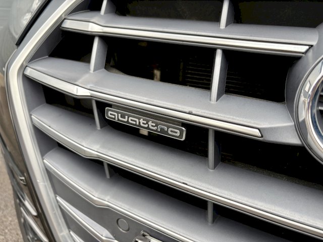 Audi Audi Q5 II 2.0 TDI 163ch Avus quattro S tronic 7