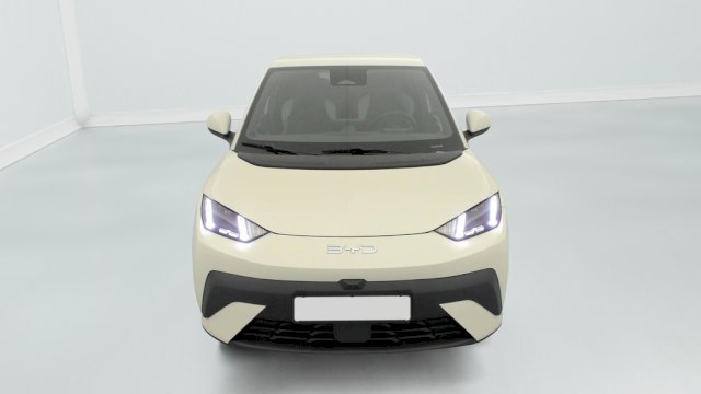 BYD BYD Dolphin Surf 156ch - 43,2 kWh Comfort