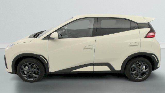BYD BYD Dolphin Surf 156ch - 43,2 kWh Comfort