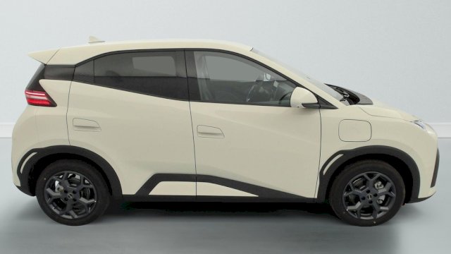 BYD BYD Dolphin Surf 156ch - 43,2 kWh Comfort
