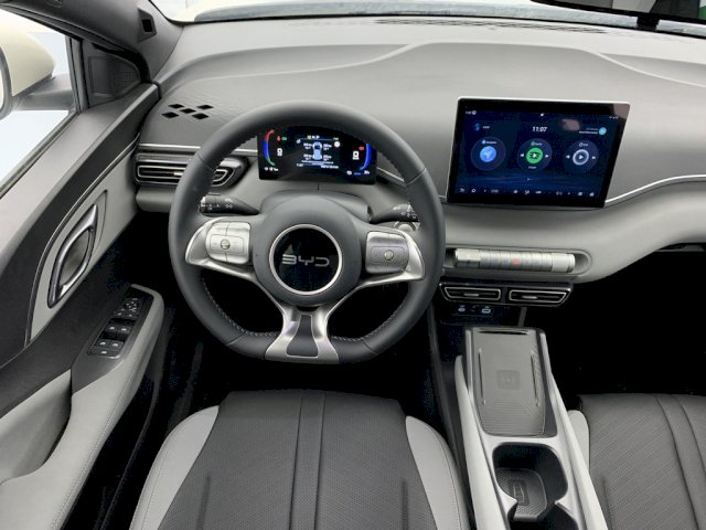 BYD BYD Dolphin Surf 156ch - 43,2 kWh Comfort