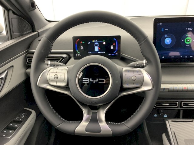 BYD BYD Dolphin Surf 156ch - 43,2 kWh Comfort