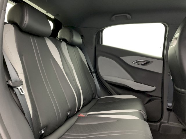 BYD BYD Dolphin Surf 156ch - 43,2 kWh Comfort