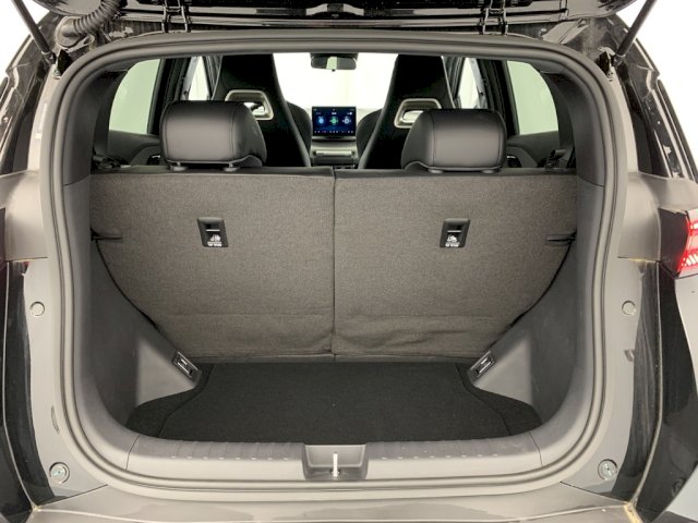 BYD BYD Dolphin Surf 156ch - 43,2 kWh Comfort