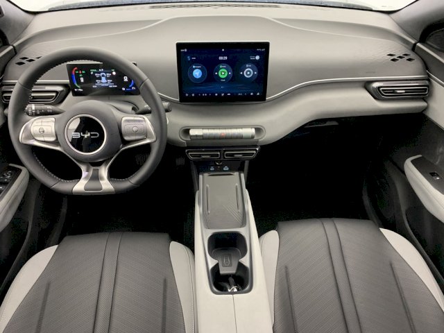 BYD BYD Dolphin Surf 156ch - 43,2 kWh Comfort