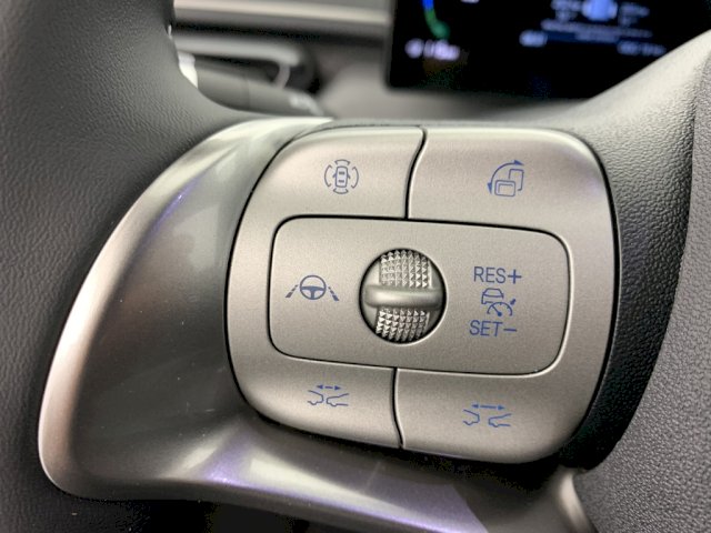 BYD BYD Dolphin Surf 156ch - 43,2 kWh Comfort