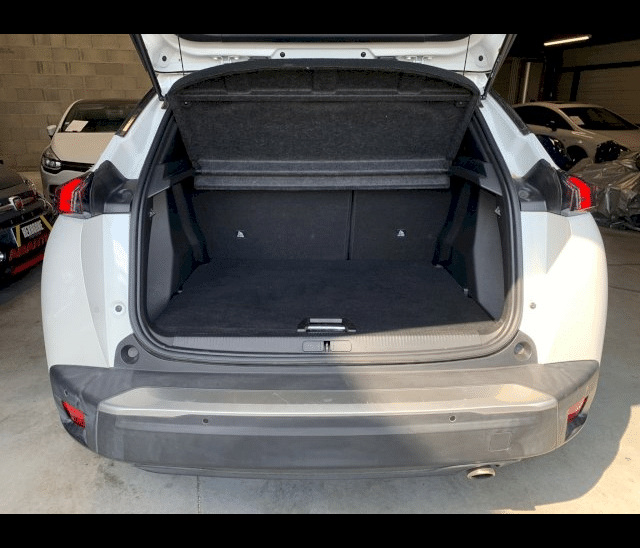 Peugeot Peugeot 2008 II 1.5 BlueHDi 110ch S&S Active Business