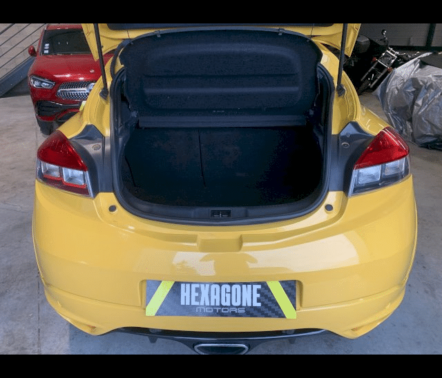 Renault Renault Megane III (D95) 2.0T 250ch Renault Sport