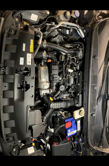 Peugeot Peugeot 308 II 1.5 BlueHDi 100ch S&S Style