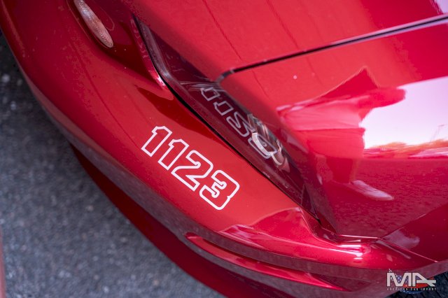 Ford MUSTANG GT SALEEN 4.6 V8 / S281 