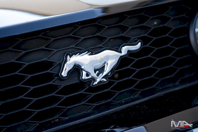 Ford MUSTANG 4.6 V8 GTCS