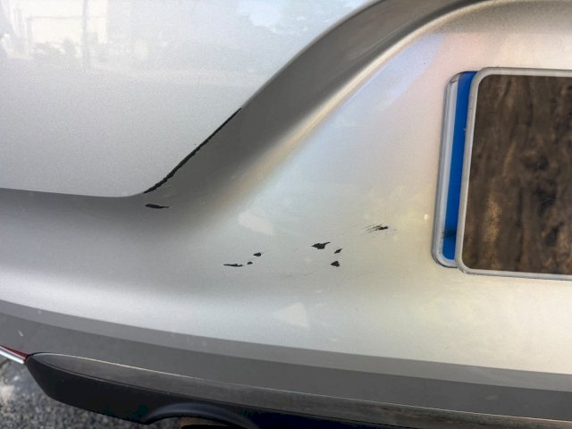 Renault Renault Clio 1.5 Blue dCi 85ch Business