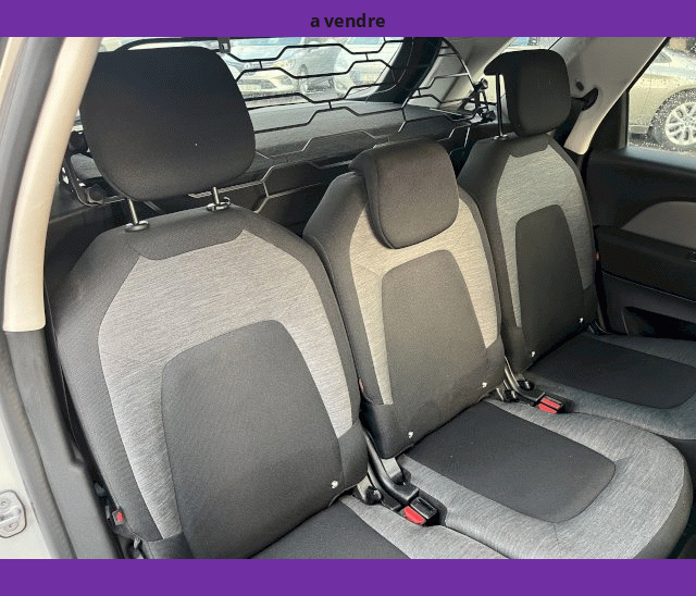 Citroën Citroën C4 Picasso II 1.6L BLUEHDi 120cv CAMERA GPS LED BUSINESS+