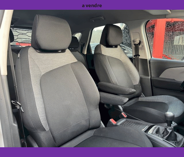 Citroën Citroën C4 Picasso II 1.6L BLUEHDi 120cv CAMERA GPS LED BUSINESS+