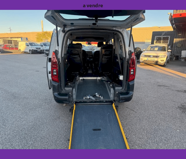 Citroën Citroën Berlingo Van VASP XL 950kg 1.5L BlueHDi 130cv TPMR