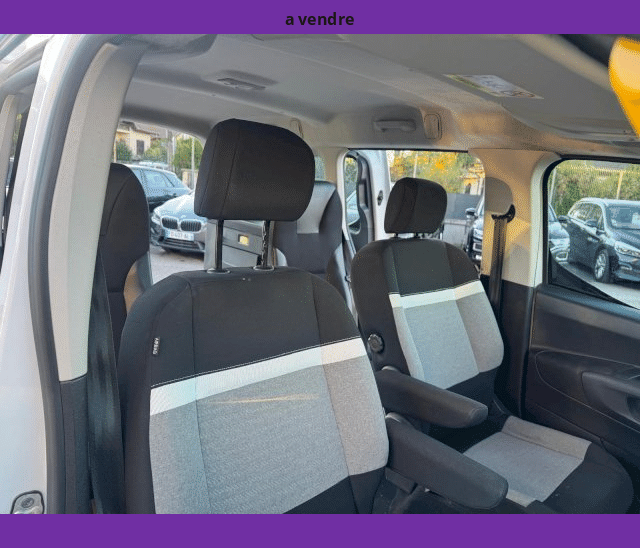 Citroën Citroën Berlingo Van VASP XL 950kg 1.5L BlueHDi 130cv TPMR