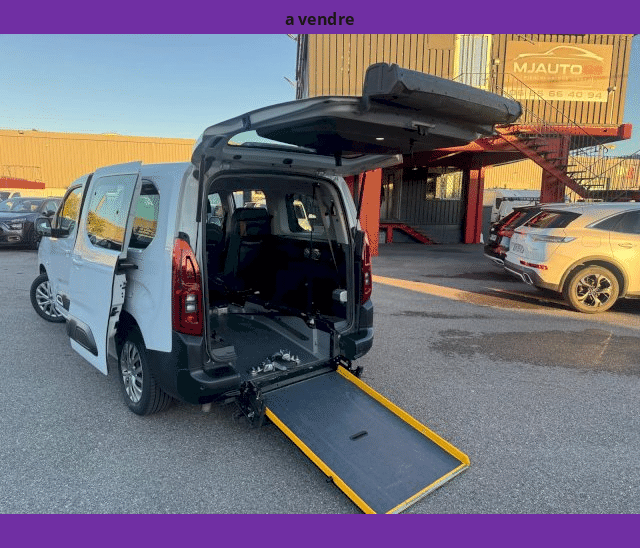 Citroën Citroën Berlingo Van VASP XL 950kg 1.5L BlueHDi 130cv TPMR