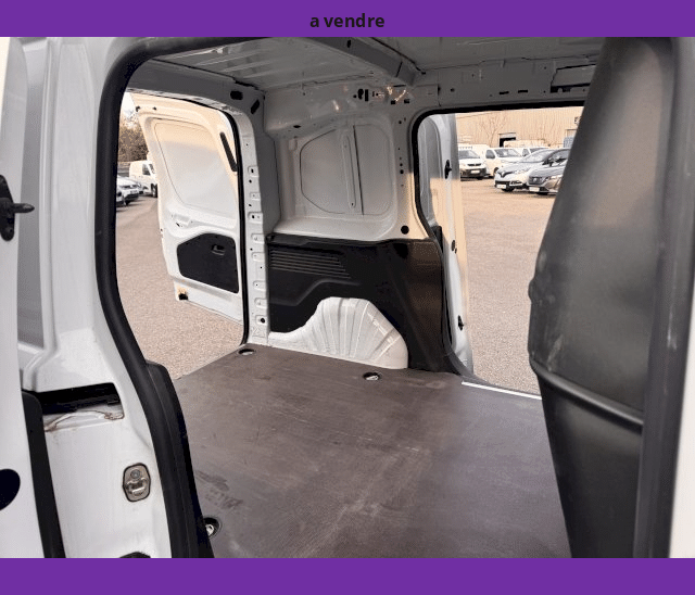 Citroën Citroën Berlingo 1.5 BLUEHDI 130CV CAMERA GPS 2 PLACES BVA EAT8 FOURGON