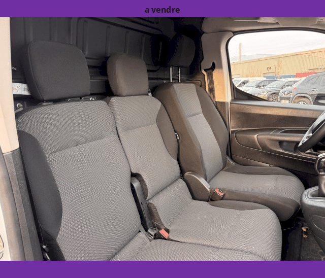 Citroën Citroën Berlingo 1.6 BLUEHDI 100cv 3 PLACES GALERIE FOURGON M 1000KG WORKER