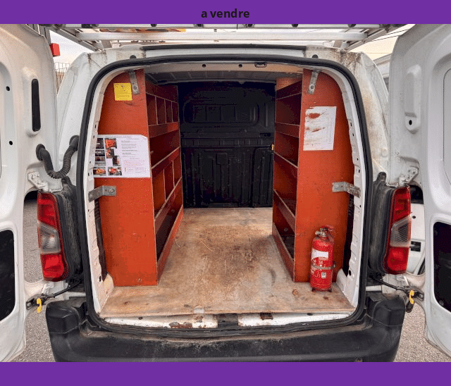 Citroën Citroën Berlingo 1.6 BLUEHDI 100cv 3 PLACES GALERIE FOURGON M 1000KG WORKER