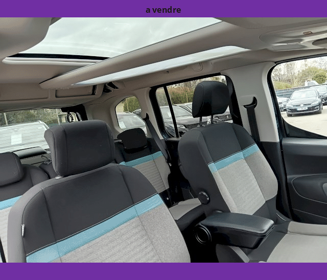 Citroën Citroën Berlingo 1.5L BlueHDi 130cv TOIT PANORAMIQUE CAMERA GPS LED EAT8 SHINE