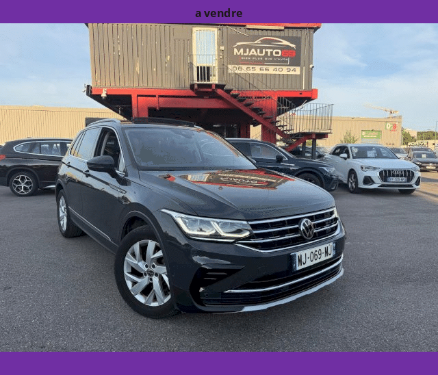 Volkswagen Volkswagen Tiguan II 2L TDI 150cv TOIT OUVRANT GPS CAMERA XENON LED DSG7 ELEGANCE EXCLUSIVE