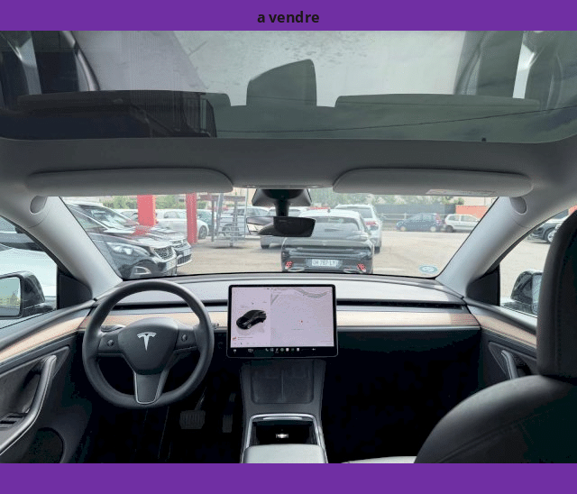 Tesla Tesla Model Y Grande Autonomie Dual Motor AWD 514cv