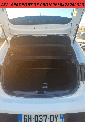 Peugeot Peugeot 208 SOCIETE 1.5 BLUE HDI 100 PREMIUM