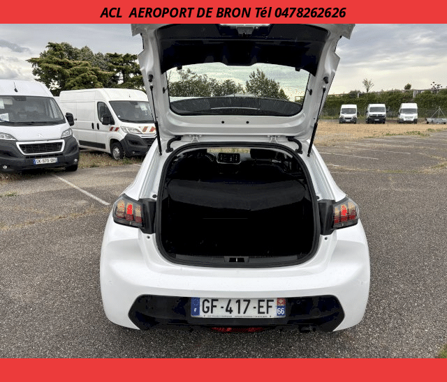 Peugeot Peugeot 208 SOCIETE HDI 100