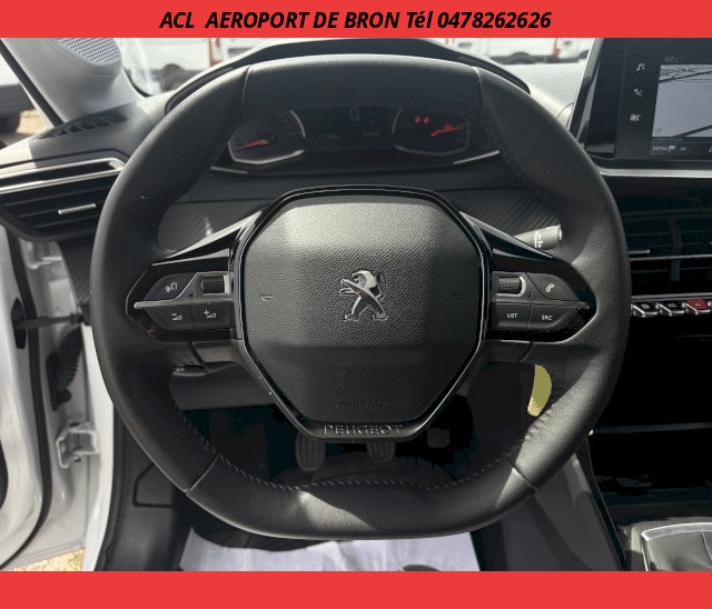 Peugeot Peugeot 208 SOCIETE HDI 100